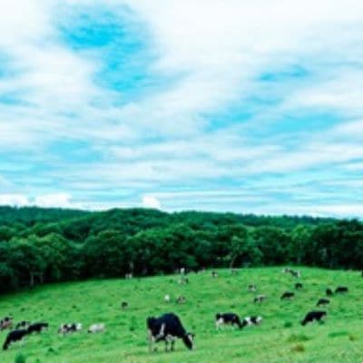 4カ月 定期便 ミルキークラウン バニラアイスクリーム10個