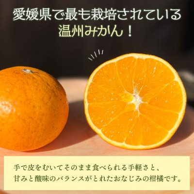 【先行受付】<旬をお届け!温州みかん 約5kg> 