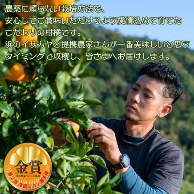 【先行受付】<旬をお届け!温州みかん 約5kg> 