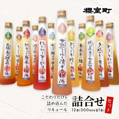 櫻室町 リキュール 詰合せ 計12本(12種類300mlx各1本)[NO5765-1016]