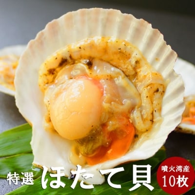 北海道産ホタテハーフシェル【BBQ用片殻付きほたて】★