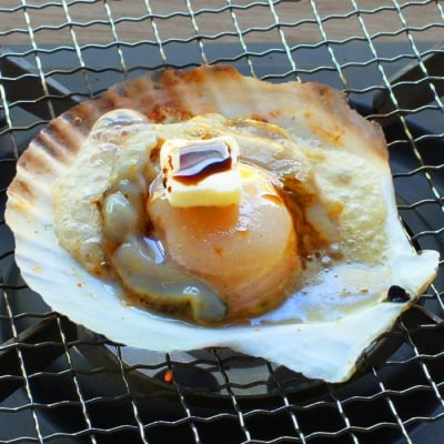 北海道産ホタテハーフシェル【BBQ用片殻付きほたて】★