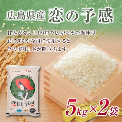 広島県産無洗米「恋の予感」(5kg×2袋)+パックご飯(200g×12食)セット