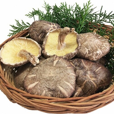 大分産椎茸こうしん 750g(50g×15袋)