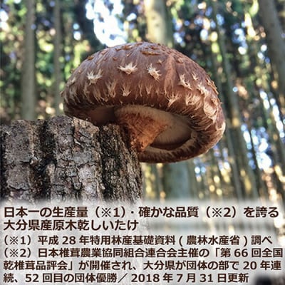 大分産椎茸こうしん 750g(50g×15袋)