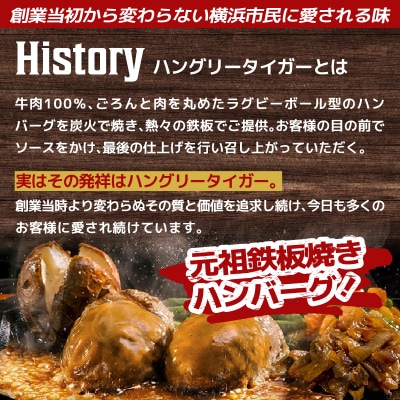 ハングリータイガー 牛肉100%ハンバーグ&万能牛そぼろ 食べ比べお取り寄せセット