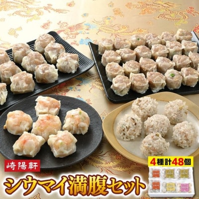 シウマイ満腹セット(4種 計48個)〈崎陽軒〉