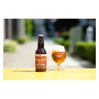 横浜ビール　ALE(2種12本セット)