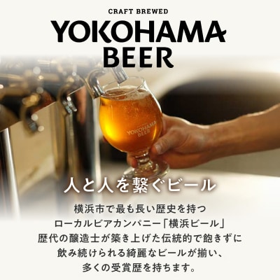 横浜ビール　ALE(2種12本セット)