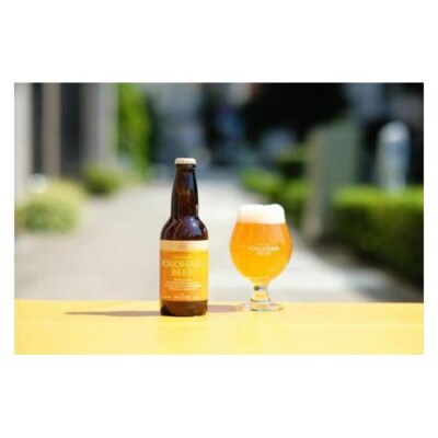 横浜ビール　ALE(2種12本セット)