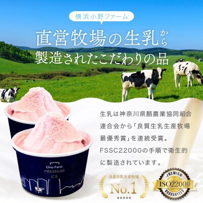 直営牧場搾りたてミルクで作るジェラート(5種 計10個)〈小野ファーム〉