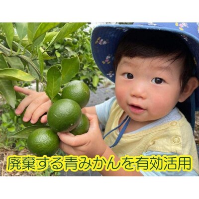 よこはまの森洗剤　3kgボックス