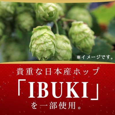 横浜工場製キリン　SPRING VALLEY(スプリングバレー)豊潤 350ml1ケース(24本入)