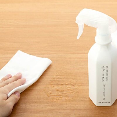 除菌消臭剤チャーミスト10L防災セット