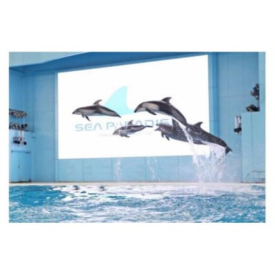 横浜・八景島シーパラダイス　ワンデーパス(水族館4施設+アトラクション)大人2名様+小中学生2名様