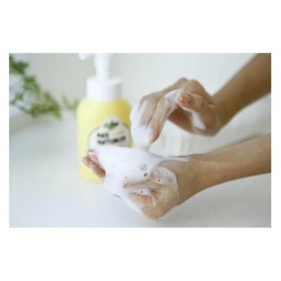 パックスナチュロン　ハンドソープセット(太陽油脂)