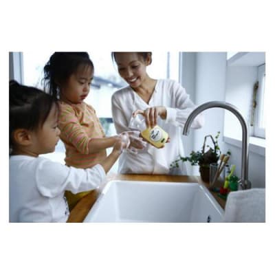 パックスナチュロン　ハンドソープセット(太陽油脂)