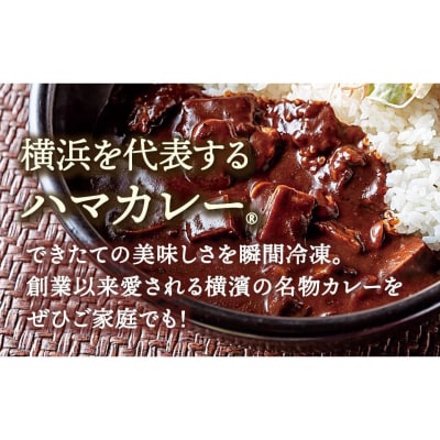 サンアロハ「ハマカレー　ビーフ　6個パック」