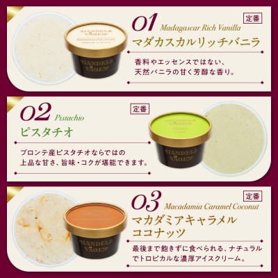 ハンデルスベーゲン 無添加アイスクリーム / 定番の6個セット