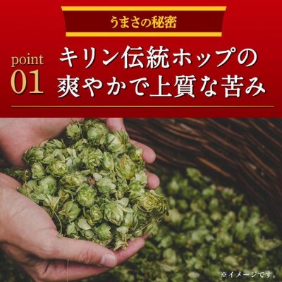 横浜工場製キリン本麒麟　500ml1ケース(24本入)
