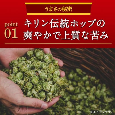キリンビール キリン本麒麟 500ml 1ケース(24本入)