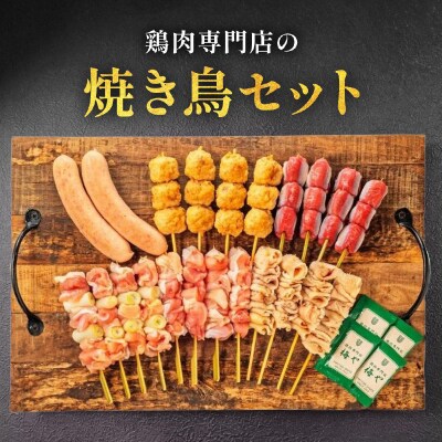 鶏肉専門店の焼き鳥セット(焼き鳥20本・チキンソーセージ2本・焼き鳥たれ(10ml)4パック付)