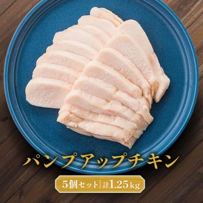 パンプアップチキン5個セット　計1.25kg