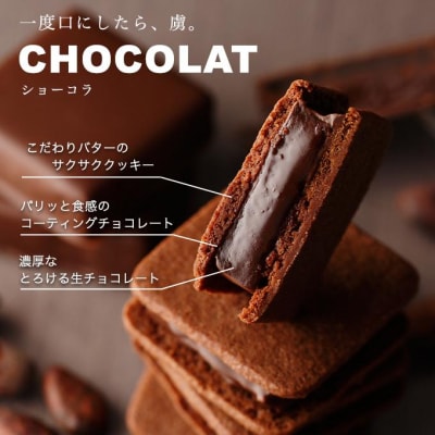 VANILLABEANS ショーコラ&パリトロ 16個入