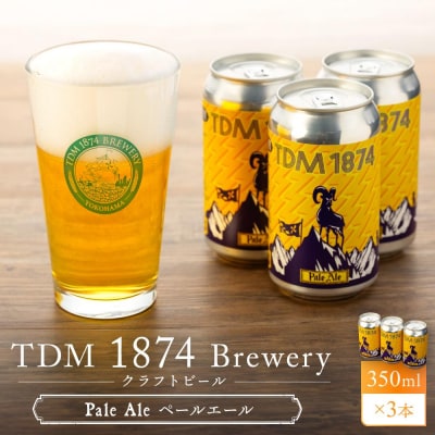 TDM 1874 Brewery クラフトビール Pale Ale ペールエール　350ml×3本