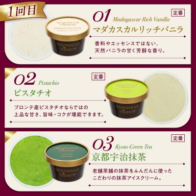【全3回 / 定期便】ハンデルスベーゲン 無添加アイスクリーム / カップアイスクリーム6個×全3回