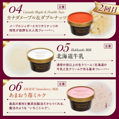 【全3回 / 定期便】ハンデルスベーゲン 無添加アイスクリーム / カップアイスクリーム6個×全3回