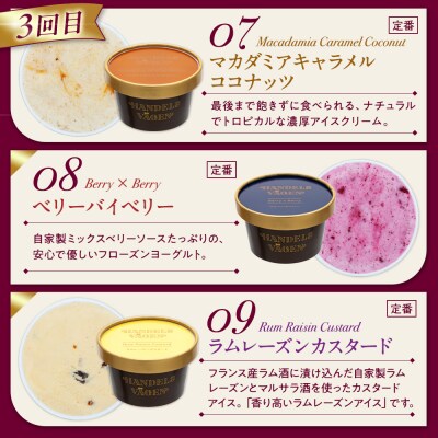 【全3回 / 定期便】ハンデルスベーゲン 無添加アイスクリーム / カップアイスクリーム6個×全3回