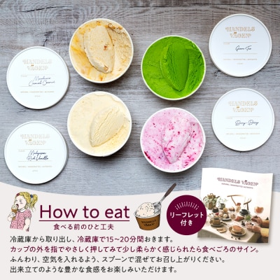 ハンデルスベーゲン無添加アイスクリーム/京都宇治抹茶・ベリーバイベリー・他