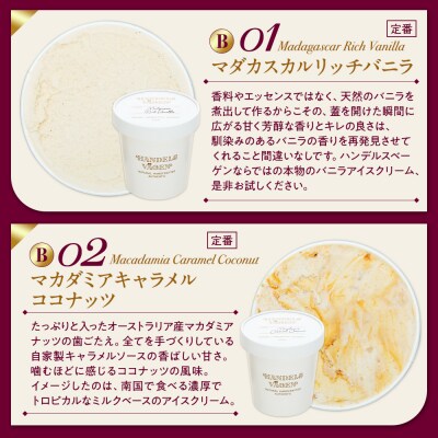 ハンデルスベーゲン無添加アイスクリーム/あまおう苺ミルク・北海道牛乳・他