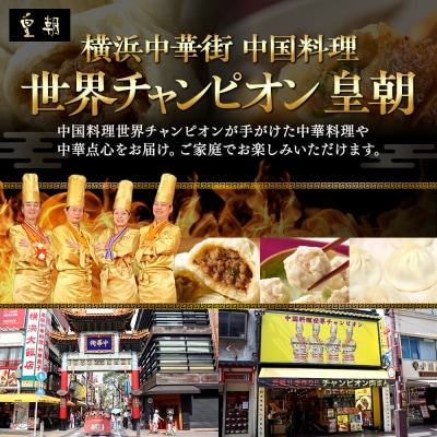 中華点心詰合せH(15種 計112個)〈横浜中華街中国料理世界チャンピオン皇朝〉