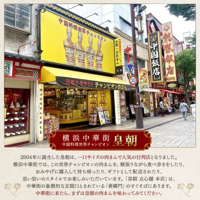 中華点心詰合せH(15種 計112個)〈横浜中華街中国料理世界チャンピオン皇朝〉