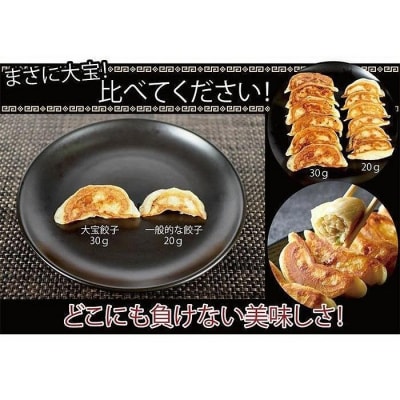 もちもち国産ジャンボ大宝餃子60個(30個×2)