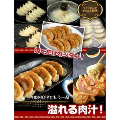 もちもち国産ジャンボ大宝餃子60個(30個×2)