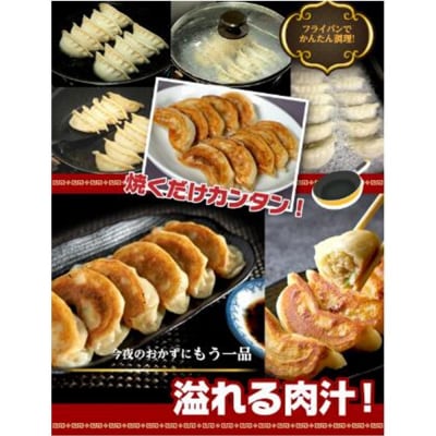 もちもち国産ジャンボ焼き餃子30個と海老餃子20個セット