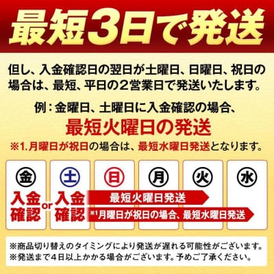 横浜工場製キリン一番搾り生ビール　350ml 2ケース(48本入)