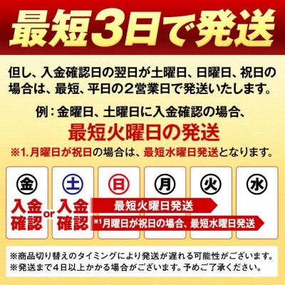 横浜工場製キリン一番搾り生ビール　350ml 2ケース(48本入)