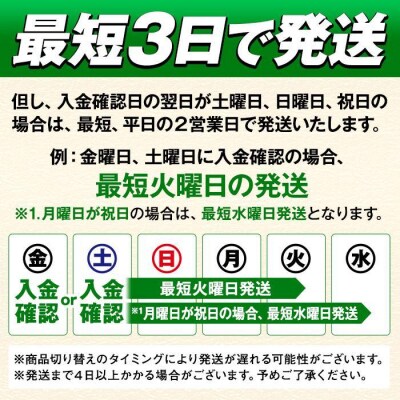横浜工場製キリン淡麗グリーンラベル　500ml 2ケース(48本入)