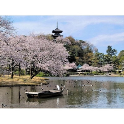 国指定名勝三溪園　招待券(2枚)
