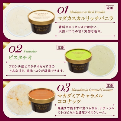 ハンデルスベーゲン 無添加アイスクリーム / 12個セット