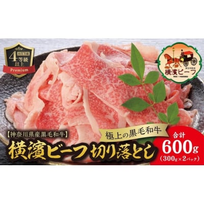 【神奈川県産黒毛和牛】かながわブランド認定　黒毛和牛　横濱ビーフ　切り落とし　300g×2