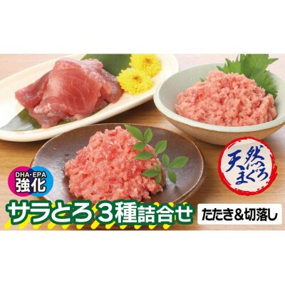 サラとろ3種詰合せ(天然まぐろたたきと切り落としの詰合せ)(3種類9袋(各60g×3))