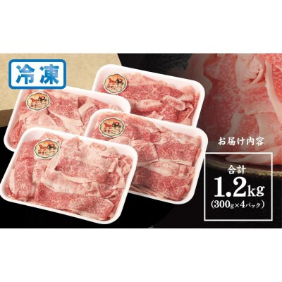 かながわブランド認定　黒毛和牛　横濱ビーフ　切り落とし　300g×4