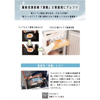 家庭用急速冷凍庫　凍眠マジック
