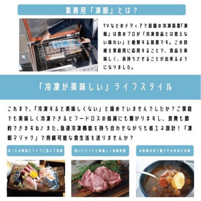 凍眠マジック 家庭用 急速冷凍庫|急速冷凍でうまみを閉じ込める家庭用冷凍庫