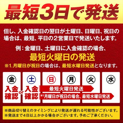 キリン SPRING VALLEY 豊潤ラガー496　500ml　1ケース(24本入)【横浜工場製】